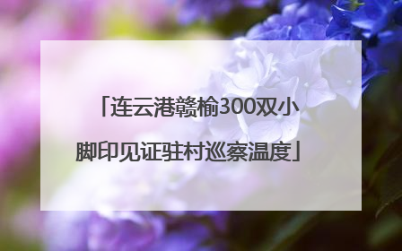 连云港赣榆300双小脚印见证驻村巡察温度