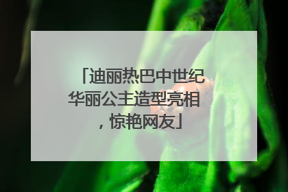 迪丽热巴中世纪华丽公主造型亮相，惊艳网友