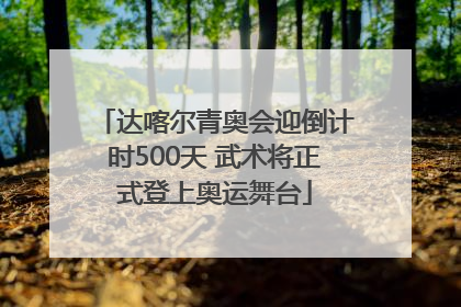 达喀尔青奥会迎倒计时500天 武术将正式登上奥运舞台