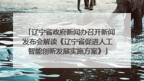 辽宁省政府新闻办召开新闻发布会解读《辽宁省促进人工智能创新发展实施方案》