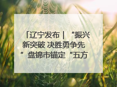 辽宁发布｜“振兴新突破 决胜勇争先”盘锦市锚定“五方面工作”力争全年地区生产总值增长5.5%左右