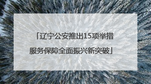 辽宁公安推出15项举措服务保障全面振兴新突破