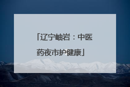 辽宁岫岩：中医药夜市护健康