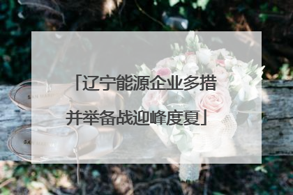 辽宁能源企业多措并举备战迎峰度夏