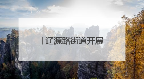 辽源路街道开展大型专家义诊 “一站式”诊疗广受居民赞誉