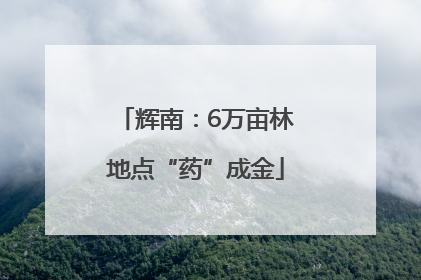 辉南：6万亩林地点“药”成金