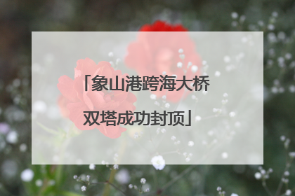象山港跨海大桥双塔成功封顶