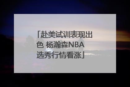 赴美试训表现出色 杨瀚森NBA选秀行情看涨