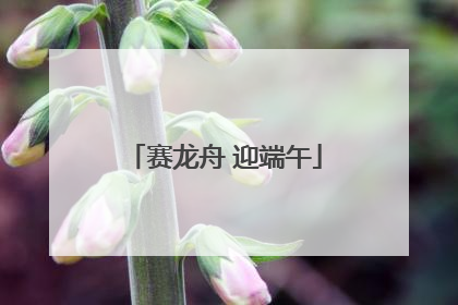 赛龙舟 迎端午