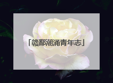 赣鄱潮涌青年志
