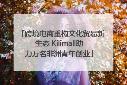 跨境电商重构文化贸易新生态 Kilimall助力万名非洲青年创业