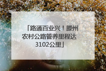 路通百业兴！滕州农村公路管养里程达3102公里