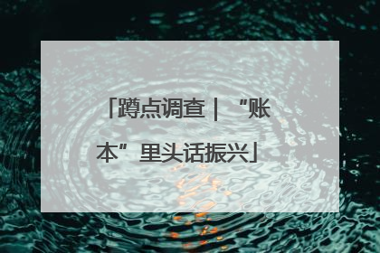 蹲点调查｜“账本”里头话振兴