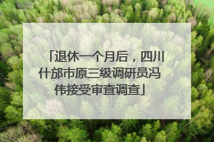 退休一个月后，四川什邡市原三级调研员冯伟接受审查调查