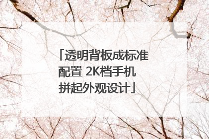 透明背板成标准配置 2K档手机拼起外观设计