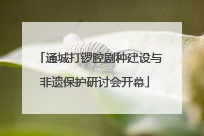 通城打锣腔剧种建设与非遗保护研讨会开幕
