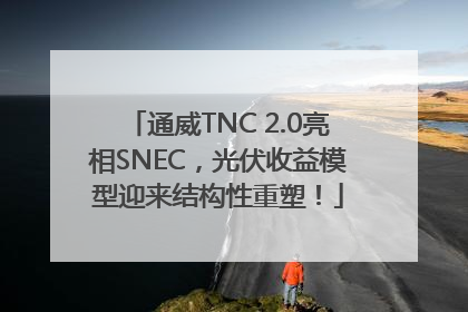 通威TNC 2.0亮相SNEC，光伏收益模型迎来结构性重塑！