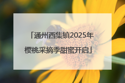 通州西集镇2025年樱桃采摘季甜蜜开启