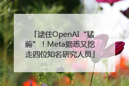 逮住OpenAI“猛薅”！Meta据悉又挖走四位知名研究人员
