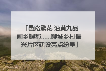 邑路繁花 沿黄九品 画乡鲤都……聊城乡村振兴片区建设亮点纷呈