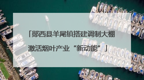 郧西县羊尾镇搭建调制大棚激活烟叶产业“新动能”