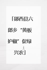 郧西县六郎乡“黄板护椒”促绿兴农