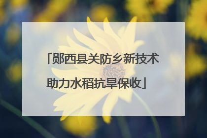 郧西县关防乡新技术助力水稻抗旱保收