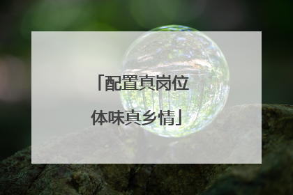 配置真岗位 体味真乡情