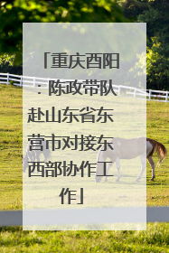 重庆酉阳：陈政带队赴山东省东营市对接东西部协作工作