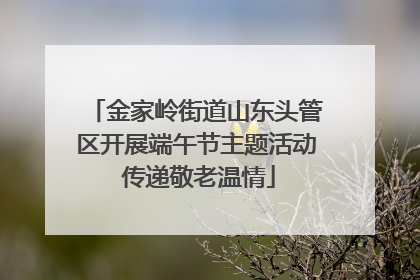 金家岭街道山东头管区开展端午节主题活动 传递敬老温情