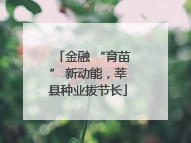 金融 “育苗” 新动能，莘县种业拔节长