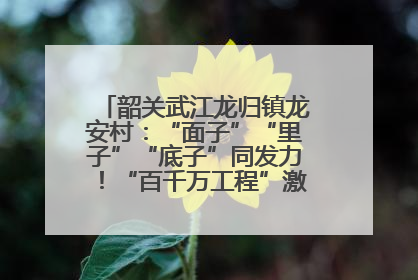 韶关武江龙归镇龙安村：“面子”“里子”“底子”同发力！“百千万工程”激活乡村新动能