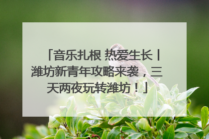 音乐扎根 热爱生长丨潍坊新青年攻略来袭，三天两夜玩转潍坊！