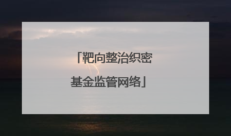 靶向整治织密基金监管网络