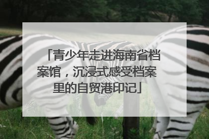 青少年走进海南省档案馆，沉浸式感受档案里的自贸港印记