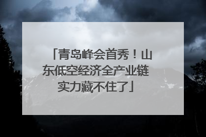 青岛峰会首秀！山东低空经济全产业链实力藏不住了