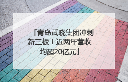 青岛武晓集团冲刺新三板！近两年营收均超20亿元