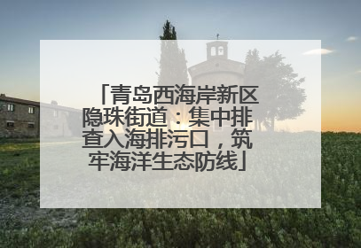 青岛西海岸新区隐珠街道：集中排查入海排污口，筑牢海洋生态防线