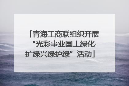 青海工商联组织开展“光彩事业国土绿化·扩绿兴绿护绿”活动