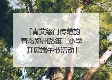 青艾缀门传楚韵 青岛郑州路第二小学开展端午节活动