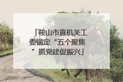 鞍山市直机关工委锚定“五个聚焦”抓党建促振兴