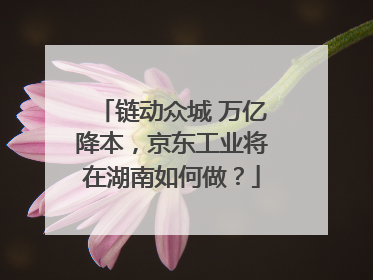 链动众城 万亿降本，京东工业将在湖南如何做？