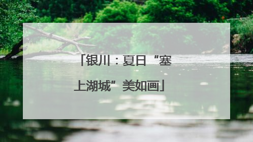 银川：夏日“塞上湖城”美如画