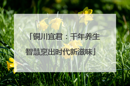 铜川宜君：千年养生智慧烹出时代新滋味