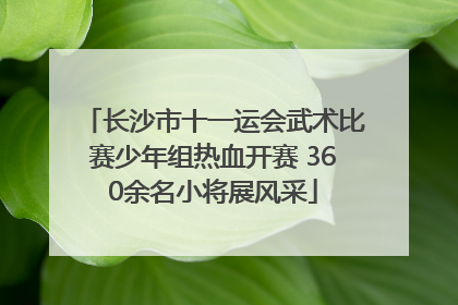 长沙市十一运会武术比赛少年组热血开赛 360余名小将展风采