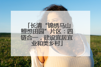 长清“锦绣马山 鲤想田园”片区：四链合一，建设宜居宜业和美乡村