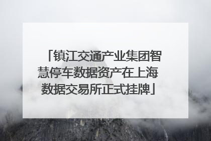 镇江交通产业集团智慧停车数据资产在上海数据交易所正式挂牌