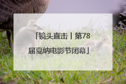 镜头直击丨第78届戛纳电影节闭幕