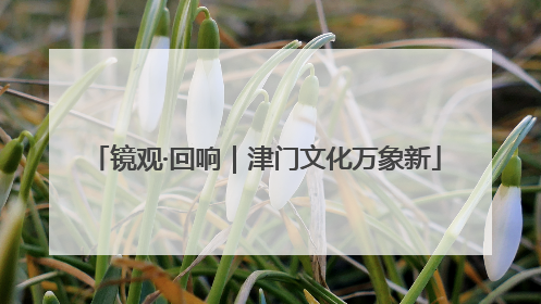 镜观·回响｜津门文化万象新