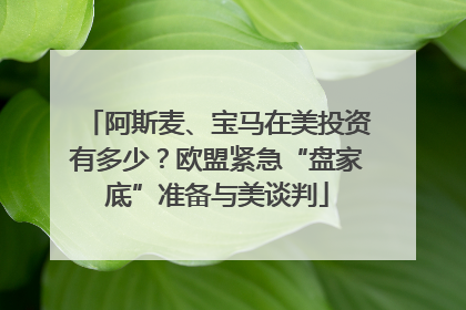 阿斯麦、宝马在美投资有多少？欧盟紧急“盘家底”准备与美谈判
